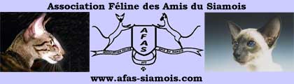 [Amateurs et éleveurs de Siamois, lien vers le site de l'AFAS]